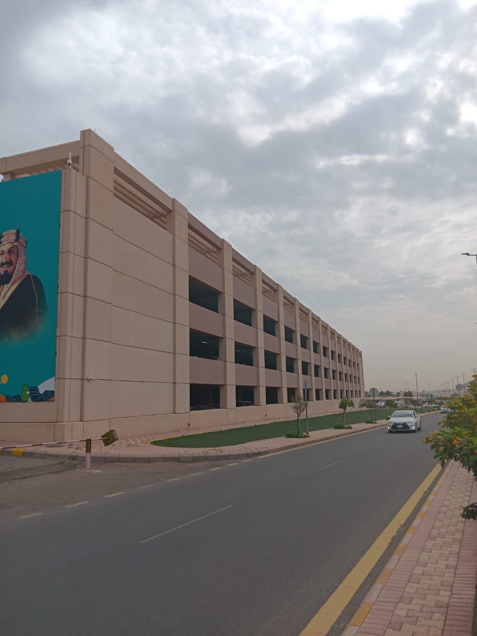 Branch Image